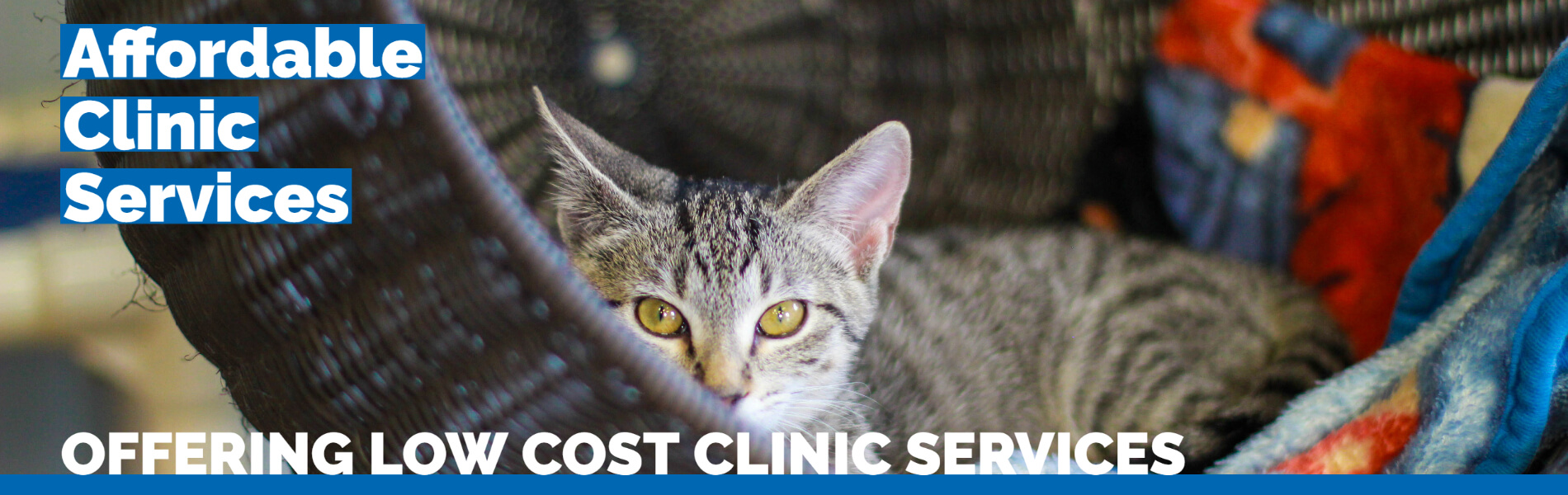 Low Cost Clinic